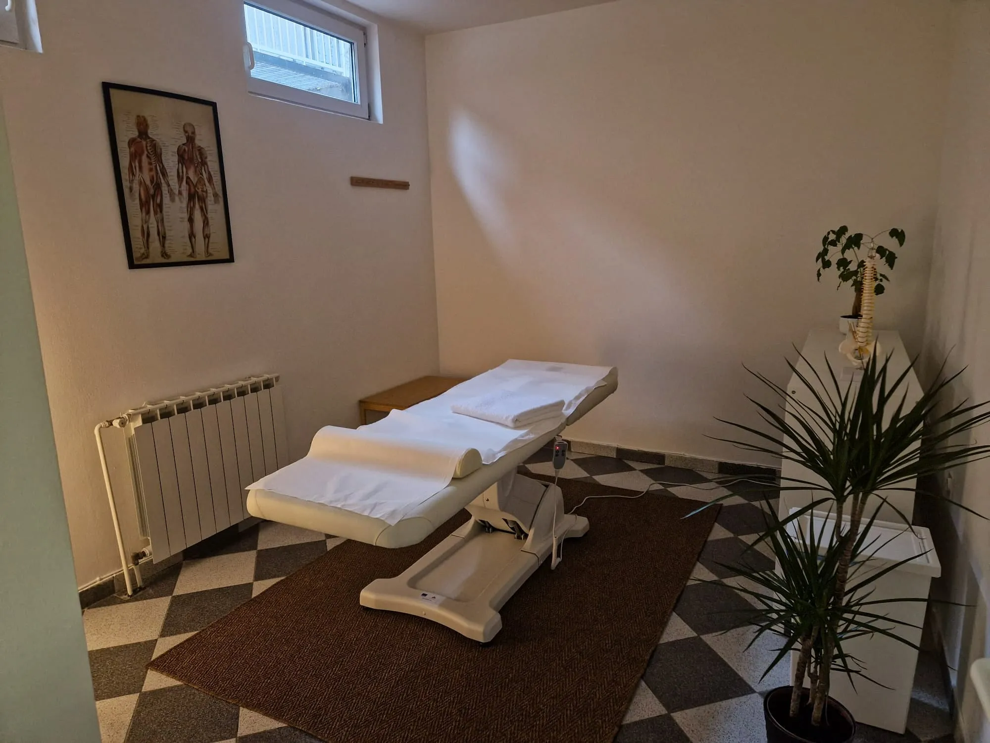 Studio Spinalis Hero 1